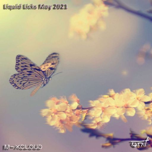 Liquid Licks - May 2021