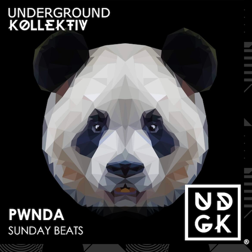 pwnda - pwnda - Sunday Beats - New Year Special - Sean Michael B2B (UDGK: 29/12/2024)