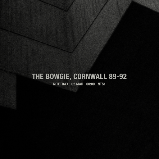 Nitetrax - The Bowgie, Cornwall 89-92 - 2nd March 2025