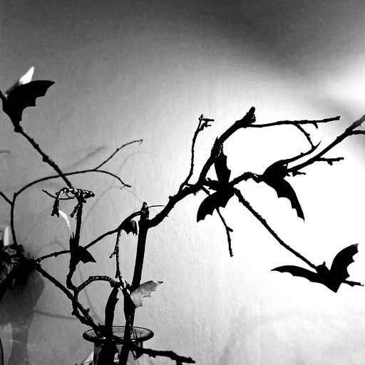 Little Friday Morning Show Halloween Special – Thursday 31.10.24 06.11.2024