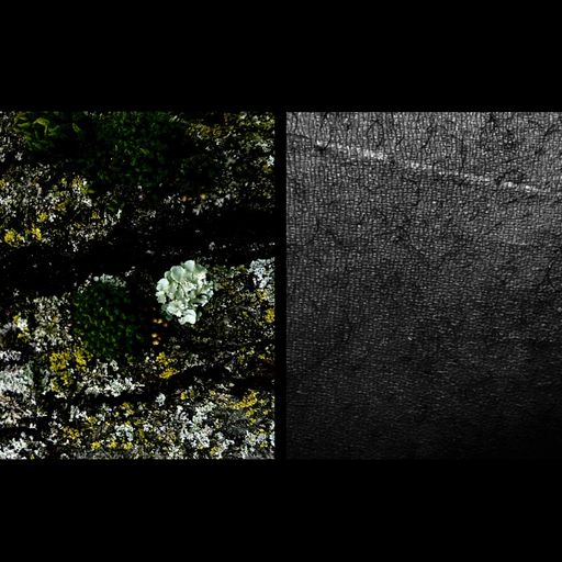 Black Tangere - Oroko Radio: LOCAL PASSPORT - 11th June 2025