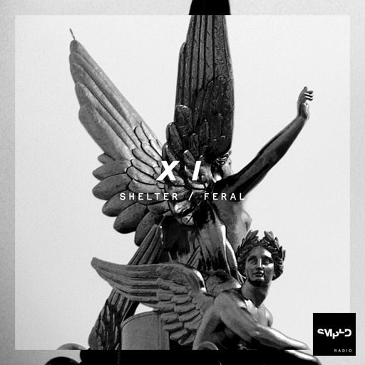 Sampled Radio 11: SHELTER & Feral