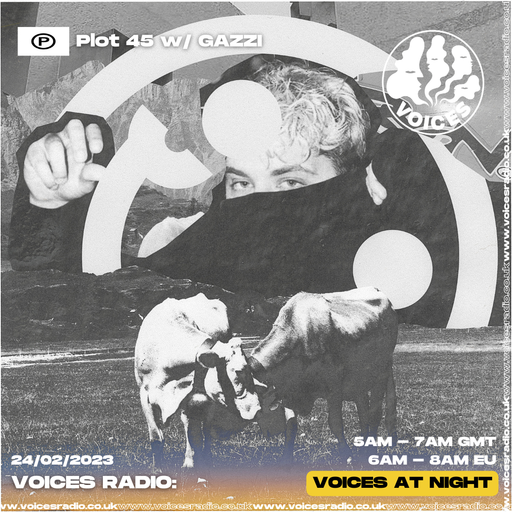 Plot 45 w/ GAZZI - 24/02/23