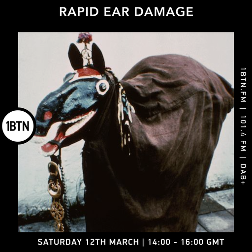 Rapid Ear Damage - 12.03.2022