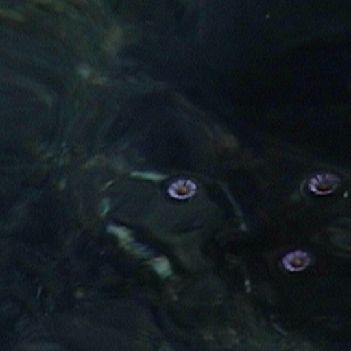 Pianpianino w/ DJ Fine - 28th November 2025