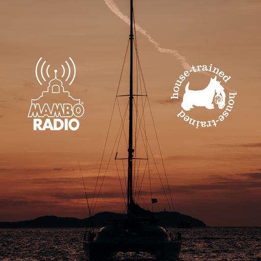 Café Mambo Radio - House Trained Show Episode 18 (22/11/19)
