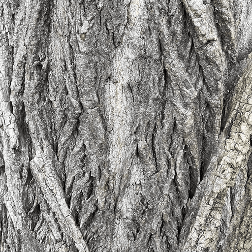 Ambient Flo with Richard Norris // 12-11-21