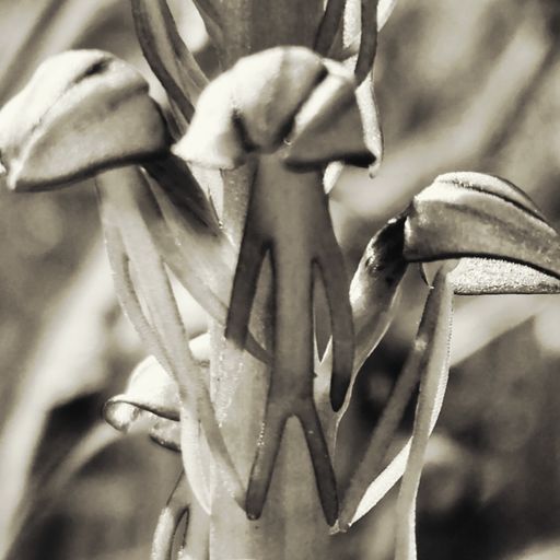 Sunday sessions (06/08/23)