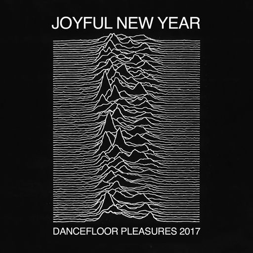Joyful New Year - Dancefloor pleasures 2017