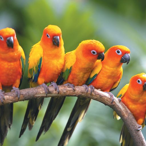 Quietmusic - February 15 (Hour 3 excerpt)