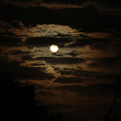 Night Operator (GlamRock)