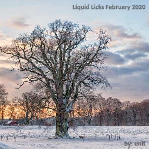 Liquid Licks February 2020