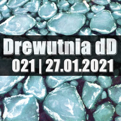 Drewutnia dD 021 | 27.01.2021 | Radio SPIN