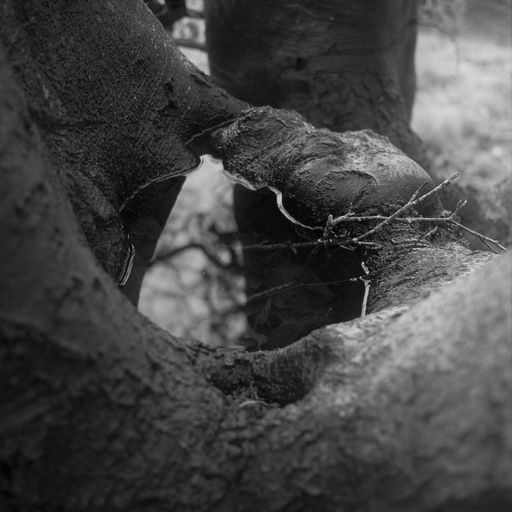 From Cellar to Attic w. jjoseph brownn- November 2022