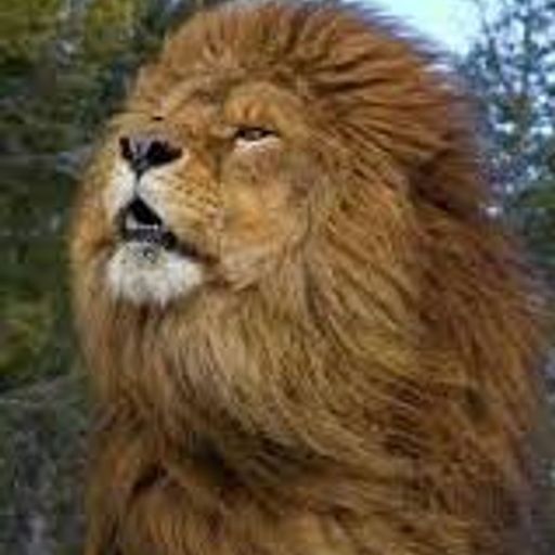 The Cool Reggae Vybz Show (2nd April 2019) on The Music Galaxy Radio