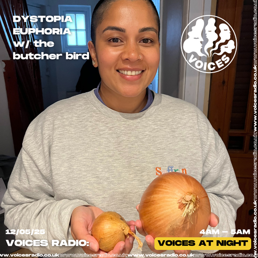 Dystopia Euphoria w/ the butcher bird - 12/05/25 - [Voices Radio]