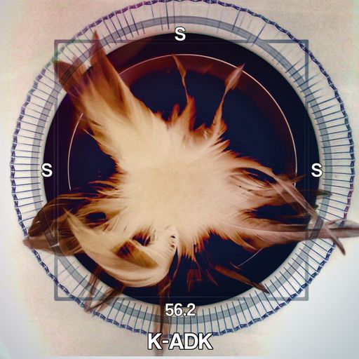 SSS #56.2 K-ADK "Let It Dream"