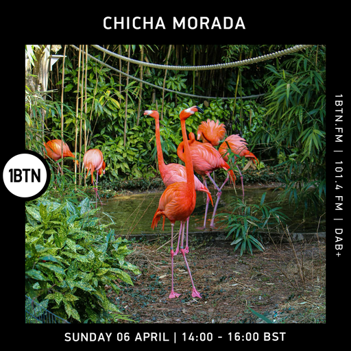 Chicha Morada - 06.04.25