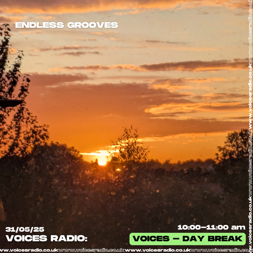 Endless Grooves - 31/05/25 [Voices Radio]
