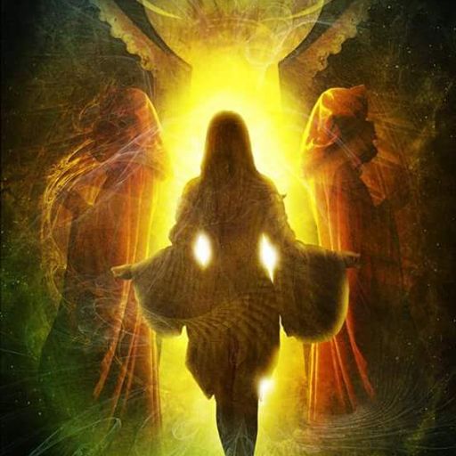 Evolve