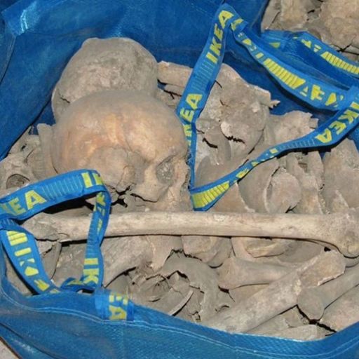 Tynetees w. Frederico Gonzales - September 2024