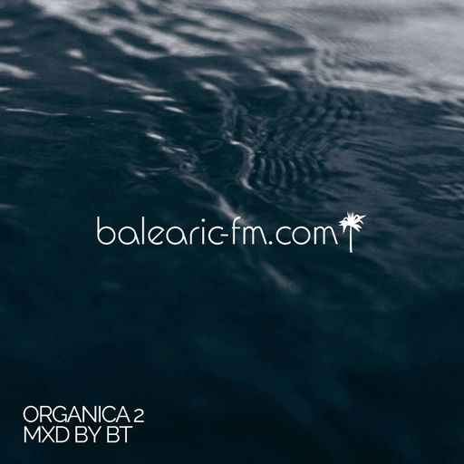 Organic Mix (002) (BigT)