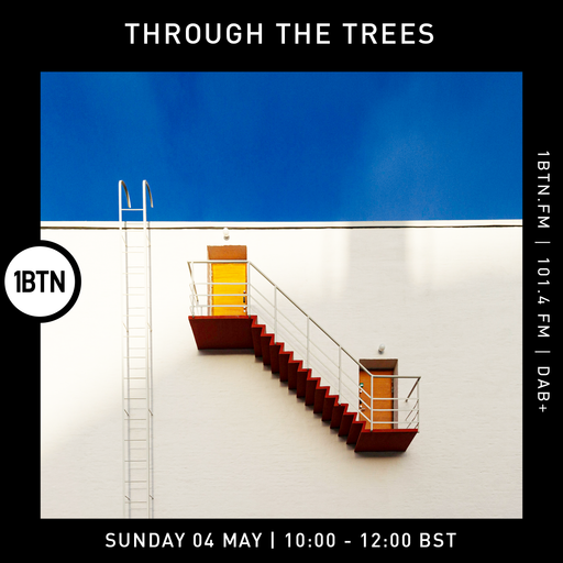 Through The Trees - 04.05.25