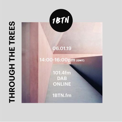 Ty - Through The Trees - 6.1.2019