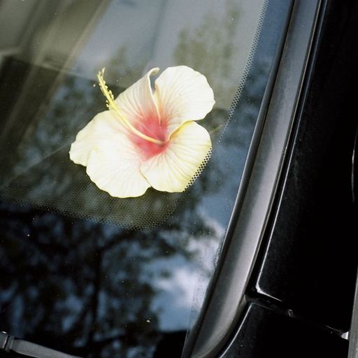 A Colourful Storm - The Devil Laughs - 1st March 2026