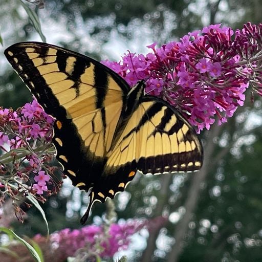 World Hold On #1 mixed by Dj Global B