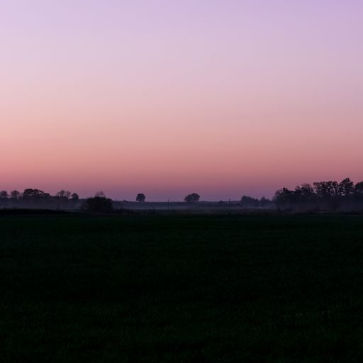 ttns away from chaos 20th of June