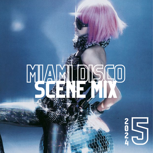 Miami Disco Scene Mix 2024.5