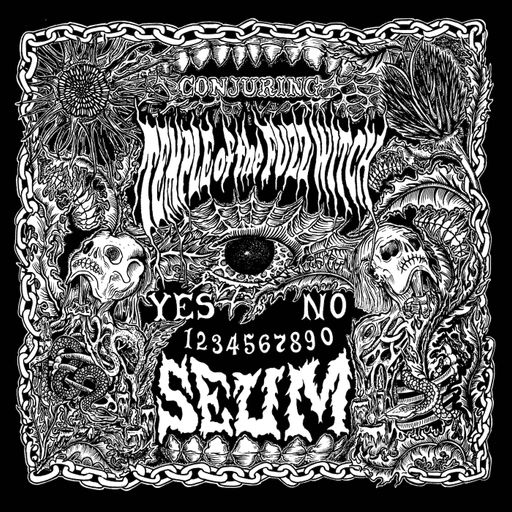 Temple Of The Fuzz Witch - Interview 2025 - The Zach Moonshine Show
