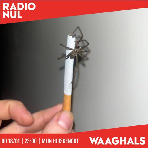 Mijn Huisgenoot - "De Afwas" - Waaghals / 18-01-24