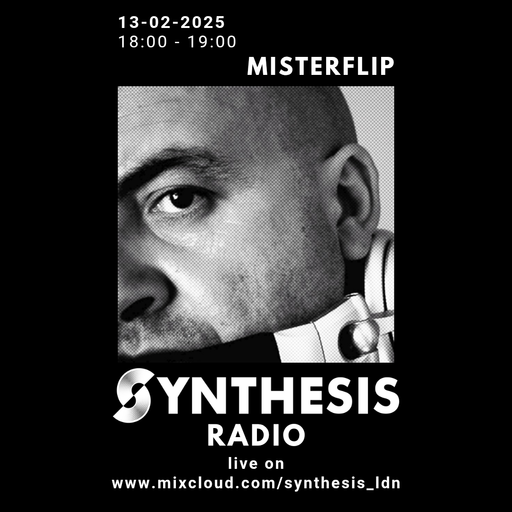 Misterflip @ Synthesis 13-02-25