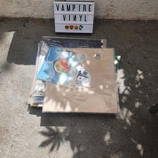 Vampire Vinyl - Random Rec Vol.5: Sunny Dubrise
