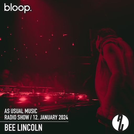 as usual music w/ Bee Lincoln - 12.01.24