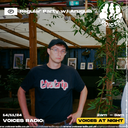 Regular Party - 14/11/24 - Voices Radio