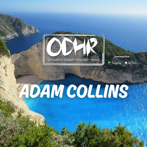 Adam Collins - Harmonic Horizons May 2025