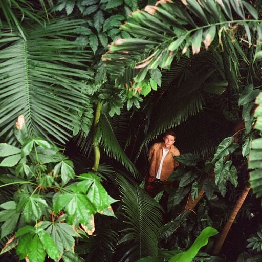 A Trip Through The Forest: Wallace // 02-10-2025