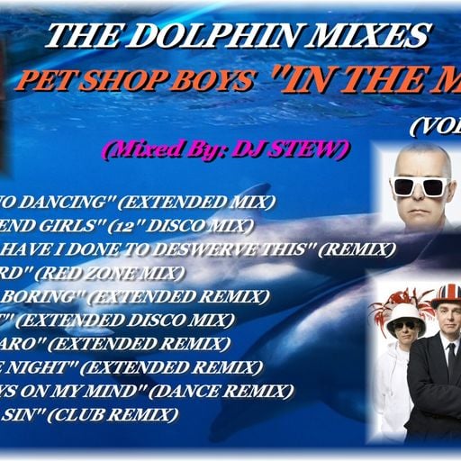 THE DOLPHIN MIXES - PET SHOP BOYS - ''IN THE MIX'' (VOLUME 1)