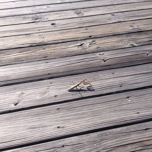 Strange prayers (Eclectic Playlist Series 4.11)