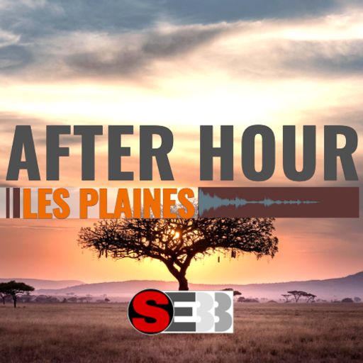 SEBB - After Hour Show - Les Plaines (UDGK: 13/02/2021)