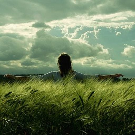 The Quest (EthnicAmbientChillTrip)