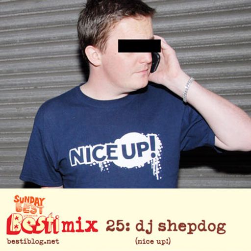 Bestimix 25: DJ Shepdog (NICE UP!)