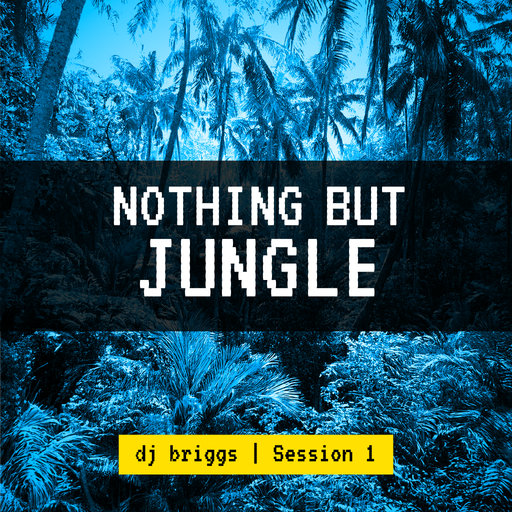 Nothing But Jungle Session 1 - Dj Briggs