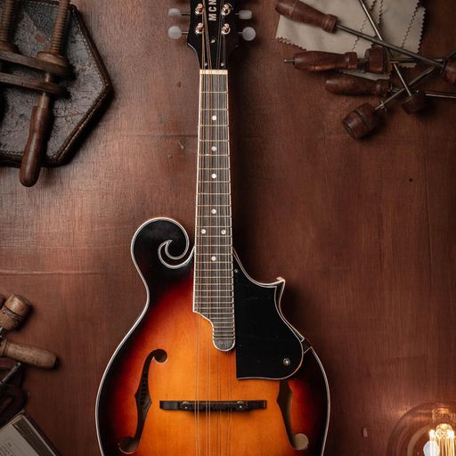 HISTORY OF ROCK - Mandolins