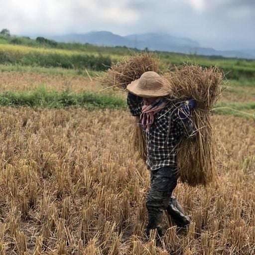 เรามันโลโชบ้านๆ จะไปสู้ไฮโชเดินห้างได้ไง By S.U.K MUSIC