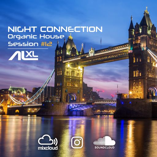 New NIGHT CONNECTION #12 DEC 2022 (Organic House) Exclusive Mix