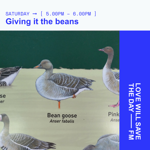 2025-03-01 Giving it the beans | LWSTD-FM